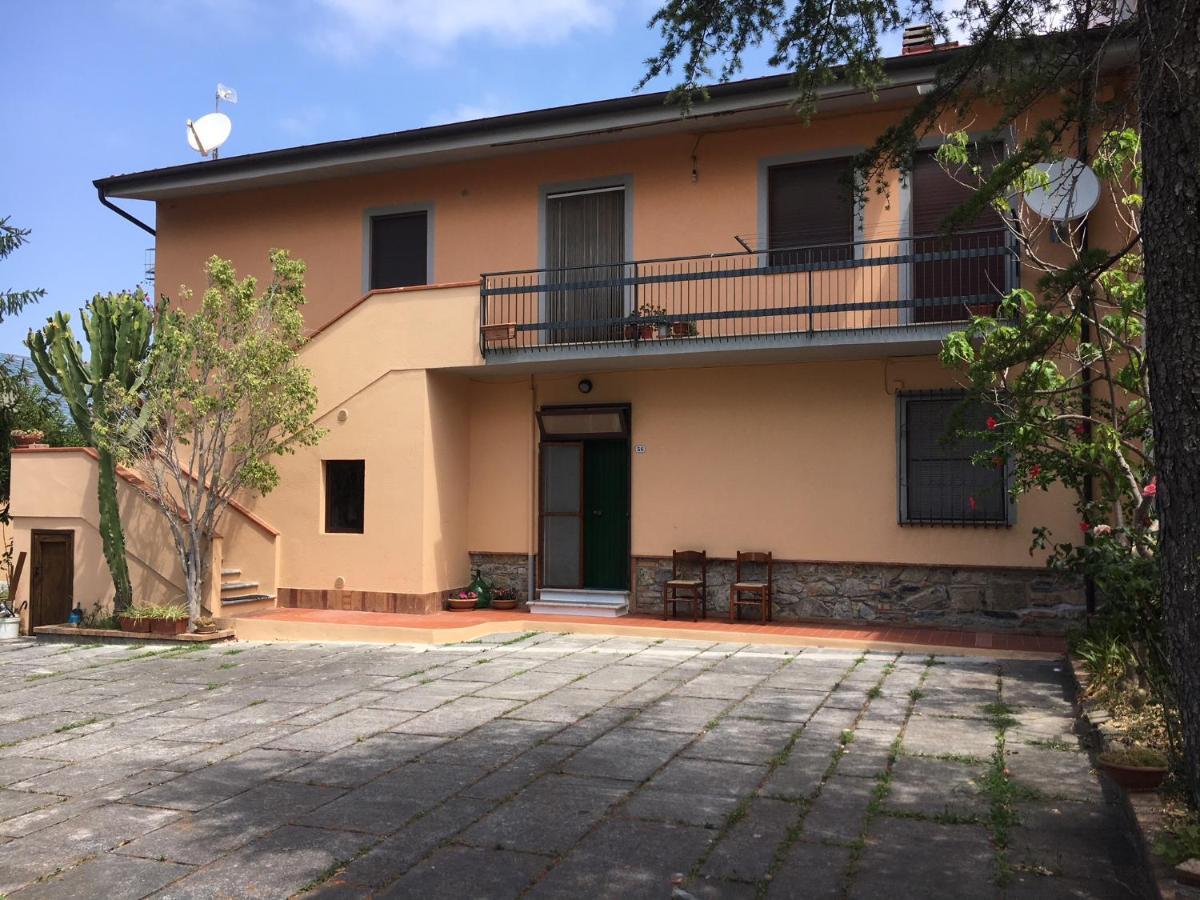 B&B Teresina Grisolia Εξωτερικό φωτογραφία